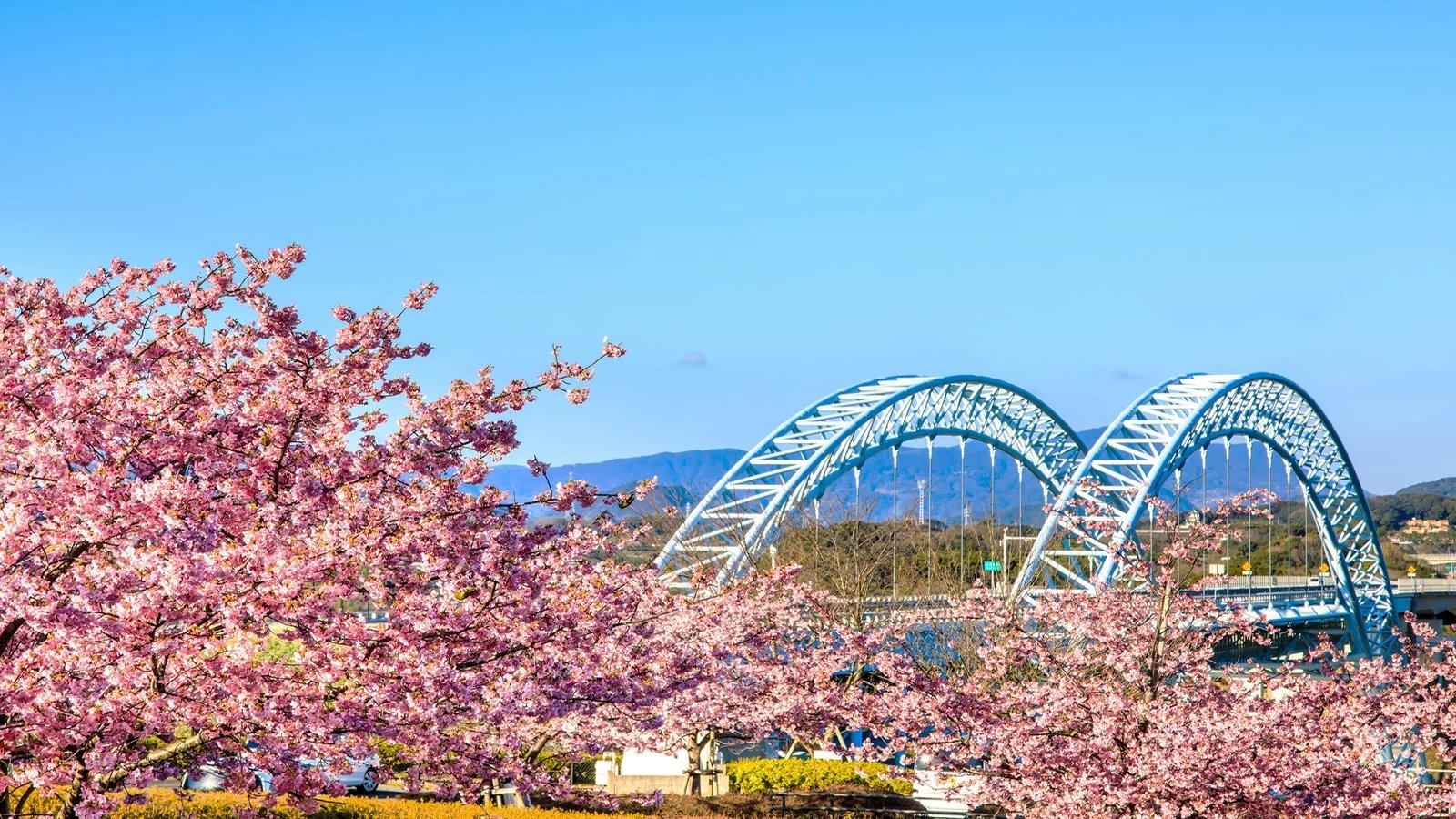 🏞️ 이로하섬 전망대(이로하지마 텐보다이) 이미지 9